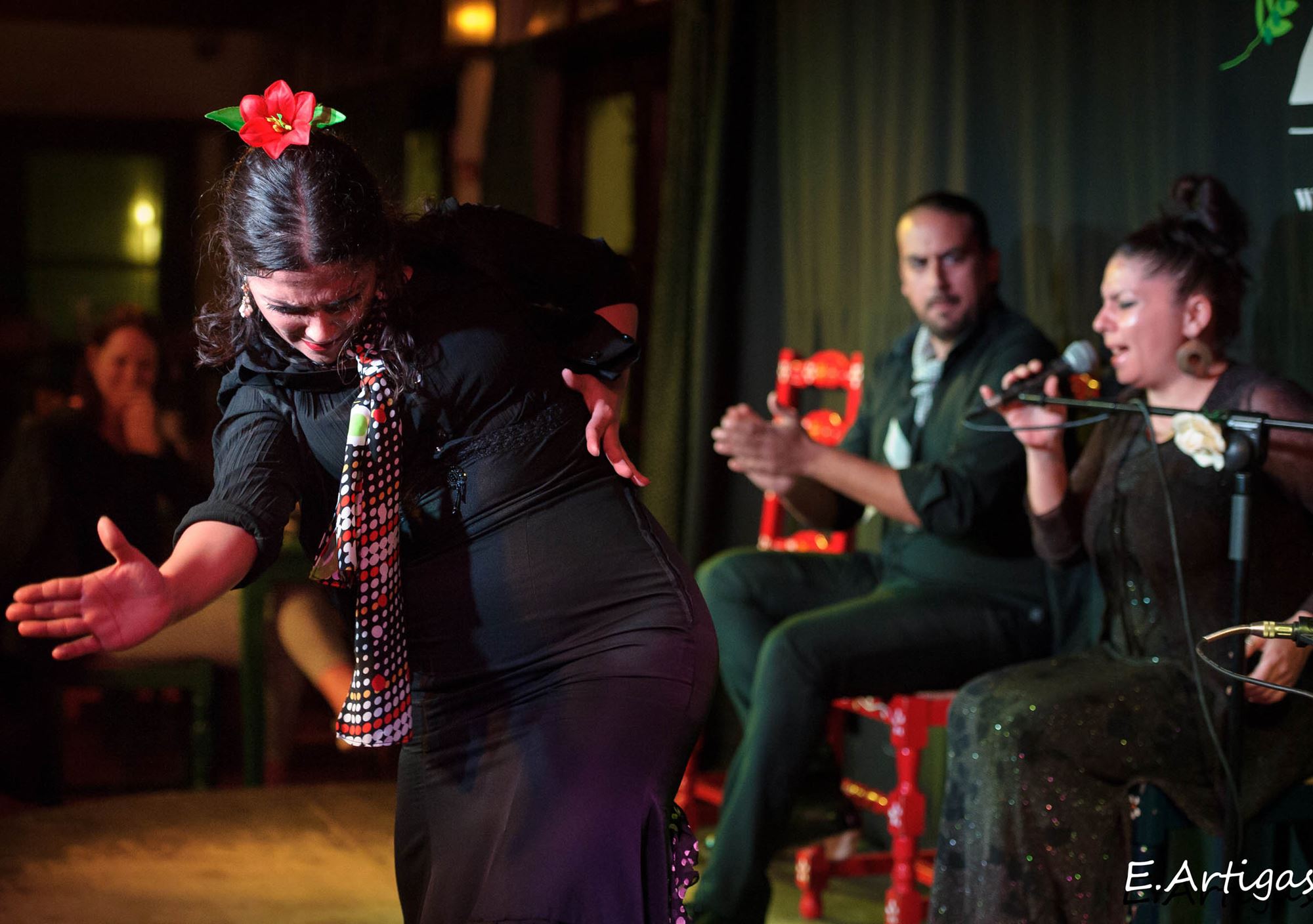réserver Spectacle flamenco à Grenade Jardines de Zoraya billets visiter